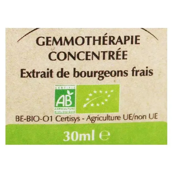 Herbalgem Macérat Concentré Peuplier Bio 30ml